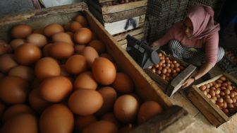 Pekerja menata telur ayam ras di salah satu stan, di Pasar Pabean, Surabaya, Jawa Timur, Jumat (11/12/2020).  ANTARA FOTO/Moch Asim
