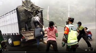 Terungkap! Lokasi dan Fakta Dinosaurus yang Bikin Gempar Warganet