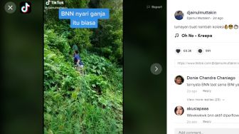 Bukan Ganja, Petugas BNN Nekat Blusukan di Hutan Demi Tanaman Ini