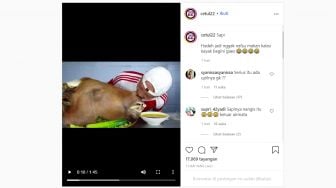 Video Mukbang Pria 'Cokot' Congor Kepala Sapi, Netizen: Itu Ada Upilnya Ga?