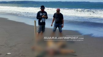 Pemancing Temukan Mayat Bertato Tribal di Pantai Talangsari Jember