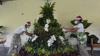 Pekerja menata pohon natal yang terbuat dari puluhan jenis tanaman hias di Duta Orchid Garden, Denpasar, Bali, Kamis (17/12/2020). [ANTARA FOTO/Nyoman Hendra Wibowo]