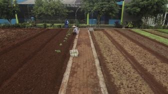 Pekerja merawat tanaman di Agro Edukasi Wisata Ragunan, Jakarta, Sabtu (19/12/2020). [Suara.com/Angga Budhiyanto] 