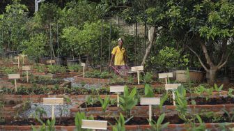 Pekerja menyelesaikan pembuatan sejumlah fasilitas di Agro Edukasi Wisata Ragunan, Jakarta, Sabtu (19/12/2020). [Suara.com/Angga Budhiyanto] 