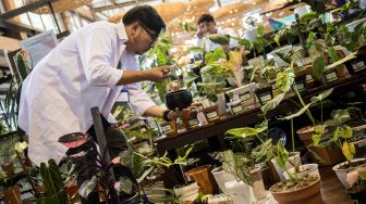 Duo musisi Bottlesmoker melakukan pertunjukan musik untuk tanaman di Galeri Flora Indonesia, Dusun Bambu, Cisarua, Kabupaten Bandung Barat, Jawa Barat, Sabtu (19/12/2020). [ANTARA FOTO/M Agung Rajasa]