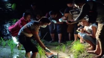 Banyak Memakan Korban, Polisi Himbau Warga Tak Gunakan Listrik untuk Jebakan Tikus