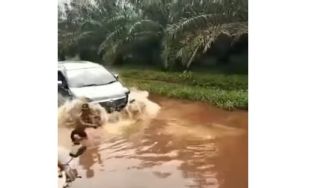 Potret Kijang Innova Terjang Banjir Bikin Heran Netizen, Ampuh Juga Nih!