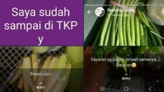 Undang Gelak Tawa, Deretan Status WhatsApp Tukang Sayur Ini Viral