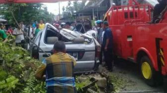 Minibus Milik ASN Agam Hancur Ditimpa Pohon Sawit