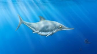 Naga Laut Purba Jenis Baru Ditemukan di Inggris