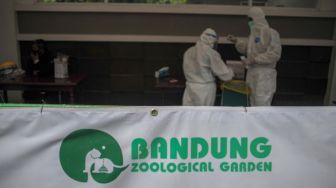 Dua orang tenaga kesehatan bersiap melakukan tes cepat antigen kepada pengunjung Bandung Zoological Garden (Bazoga) di Jawa Barat, Minggu (27/12/2020). ANTARA FOTO/Raisan Al Farisi
