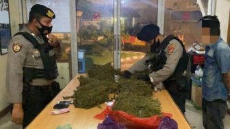 Polisi Bekuk Seorang Pria saat Patroli Nataru, Sita 10 Kg Ganja