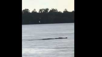 Dilarang Berenang ada Buaya, Warga Tetap Nekat Nyebur ke Pantai