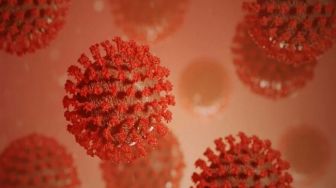 Update Covid-19 di Babel: 54 Kasus Baru dan 38 Orang Dinyatakan Sembuh