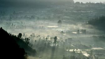 Suasana pemandangan pedesaan saat matahari terbit pertama tahun 2021 terlihat dari Desa Pinggan, Kintamani, Bangli, Bali, Jumat (1/1/2021).  [ANTARA FOTO/Fikri Yusuf]