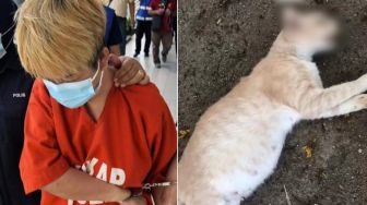 Pukul Kucing Betina hingga Mati, Seorang Wanita di Malaysia Dibui 4 Hari
