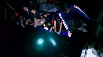 Ribuan Benih Lobster Hasil Penyeludupan di Sumsel Dilepasliarkan