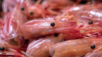 Jangan Dibuang, Kepala Udang Ternyata Kaya Manfaat