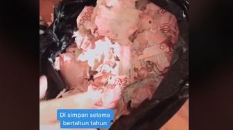 Sakit Tapi Tak Berdarah, Uang Tabungan Rp 15 Juta Hancur Dimakan Rayap