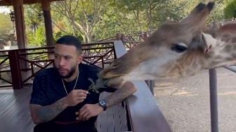 Santai Banget, Memphis Depay Makan Siang dengan Jerapah