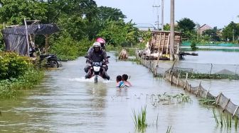 3.402 Rumah Warga Lamongan Terendam Luapan Banjir Bengawan Jero