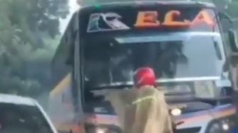 Disebut Superhero, Aksi Bapak-bapak Ngamuk dan Hentikan Bus yang Lawan Arah