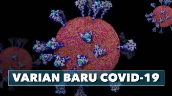 Wamenkes Umumkan Varian Baru Virus Corona B117 Sudah Masuk ke Indonesia