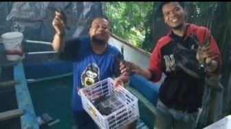 Pantang Menyerah Saat Pandemi, Pengusaha Lobster Ini Tetap Untung Rp45 Juta Per Bulan