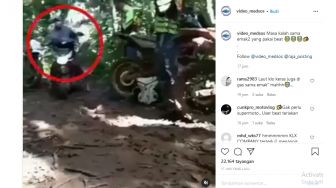 Viral Video Aksi Ekstrem Emak-emak Pengguna Motor Matic di Depan Anak Trail