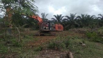 Warga Kecamatan Kampar Kiri Optimalkan Lahan Untuk Agrowisata