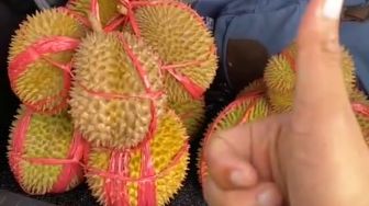 Pria Beli 9 Durian Cuma Rp 50 Ribu, Alamak Isinya Ternyata Bikin Syok