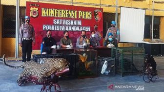 Polisi Amankan Koleksi Satwa Dilindungi dari Tersangka Narkoba