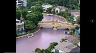 Misterius! Jalur Air Sentosa South Cove Berubah Jadi Ungu Kemerahan