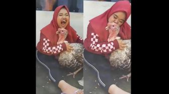 Viral Kekeyi Kecup Kalkun, Warganet: Selamatkan Kalkun Itu!