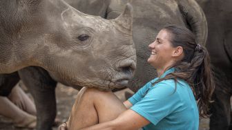 Penjaga ZanrŽ Van Jaarsveld (26) bermain dengan anak badak di The Rhino Orphanage, di lokasi yang dirahasiakan dekat Mokopane, provinsi Limpopo,  Afrika Selatan, pada (9/1/2021). [Michele Spatari / AFP]