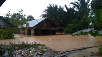 Banjir Semakin Meluas, Kalimantan Selatan Berstatus Tanggap Darurat