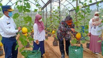 Kebun Bibit Cilangkap, Local Nursery Transplant for Tropical Plants