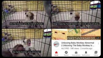 Kejam Banget! Youtuber Menyiksa Monyet, Diberi Saus sampai Keracunan