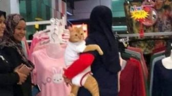 Super Gemas! Kucing Ini Diajak Majikan Shopping, Didandani Seperti Bayi