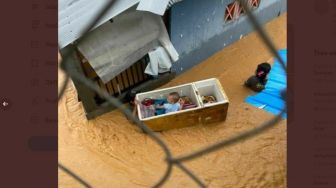 Momen Haru Ortu Selamatkan Bayi saat Banjir Kalsel, Ada yang Pakai Kulkas