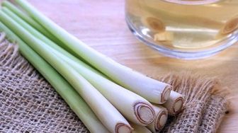 Serai, Bumbu Masak Aromatik dengan Segudang Manfaat