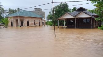 Bantu Evakuasi Kucing Terjebak Banjir di Kalsel, Warganet Ini Tuai Pujian