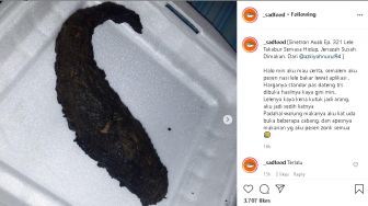 Ngakak! Lele Bakar Gosongnya Minta Ampun, Warganet: Ikan Bumbu Arang Nih