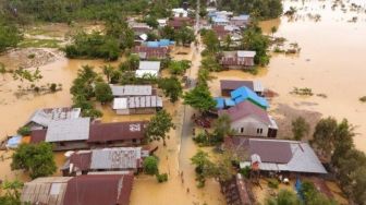 18.356 Hektar Lahan Pertanian Terancam Gagal Panen Setahun Akibat Banjir Kalsel