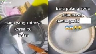 Tunda Cuci Piring, WNI di Korea Ini Syok Berat Pas Lihat Isi Wastafel