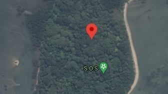 Simbol SOS di Area Sriwijaya Air SJ182 Jatuh, Ini yang Sebenarnya Terjadi
