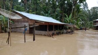 Banjir Terjadi di Aceh Timur, Ratusan Warga Mengungsi