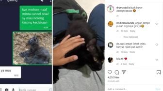 Berhati Mulia, Ojek Ini Batalkan Pesanan Demi Tolong Kucing Kecelakaan