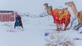 Salju Turun di Gurun Arab Saudi, Pertanda Apa?