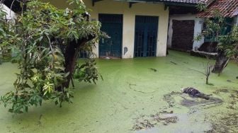 Ngeri! Banjir Berwarna Hijau Rendam Permukiman di Kota Pekalongan, Ribuan Warga Terdampak